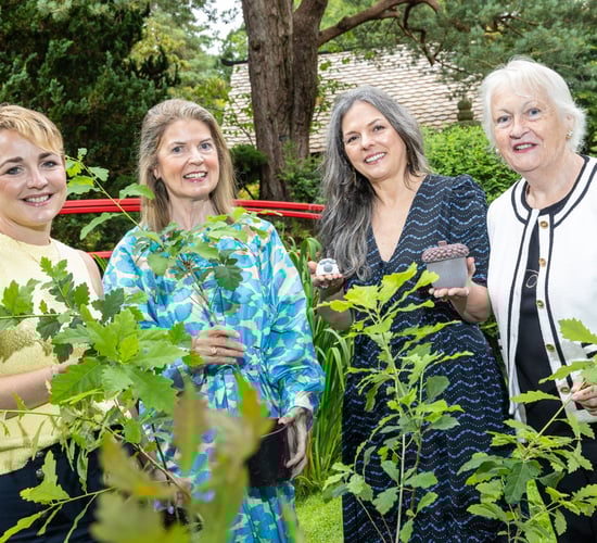 ACORNS to represent Ireland at European enterprise awards