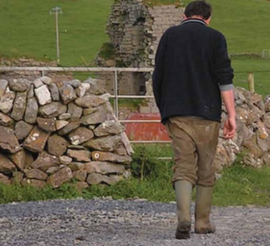 Gender equality project seeks rural men and male farmers