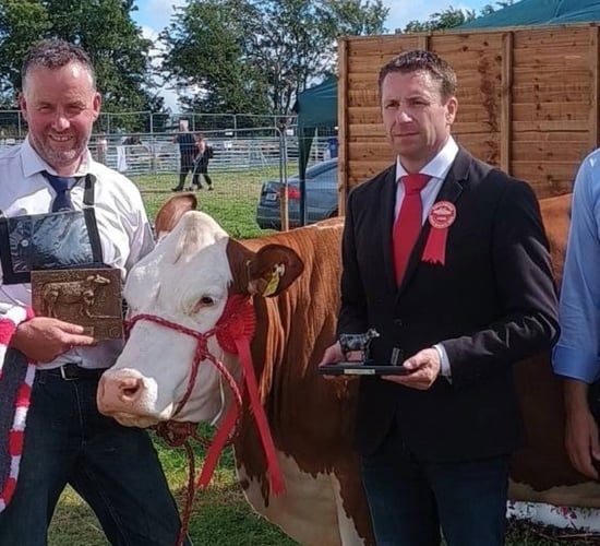 First ever showing of Fleckvieh breed class at Tullamore Show