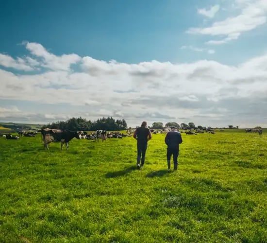 Dairy Focus - animal welfare and sustainability on west Cork farm