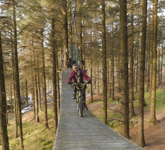 €4m boost for Coillte to develop new 'infrastructure projects'