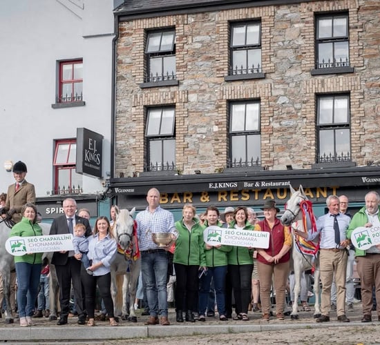 Connemara Pony Show to celebrate 100th annual show in Clifden
