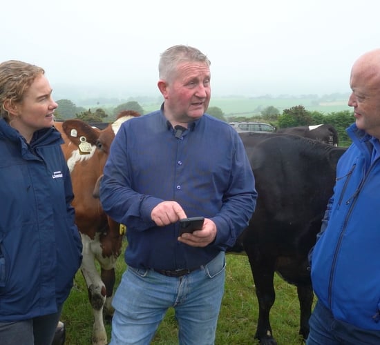 Mixing cows with honey: How one farmer uses tech to balance a legacy
