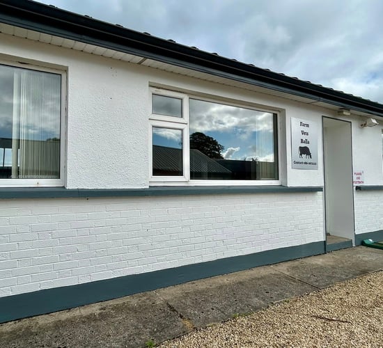 Rural town in Co. Mayo opens first ever vet practice