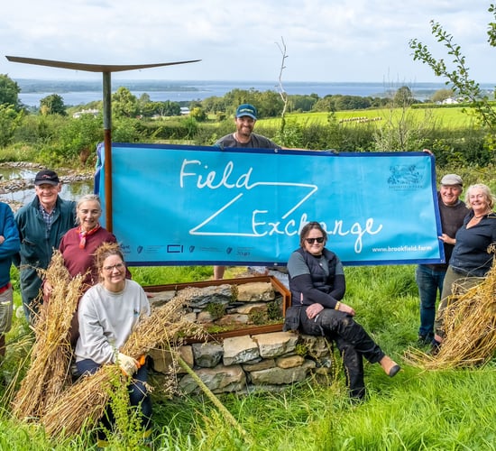 Field Exchange festival returns to Tipperary's Brookfield Farm