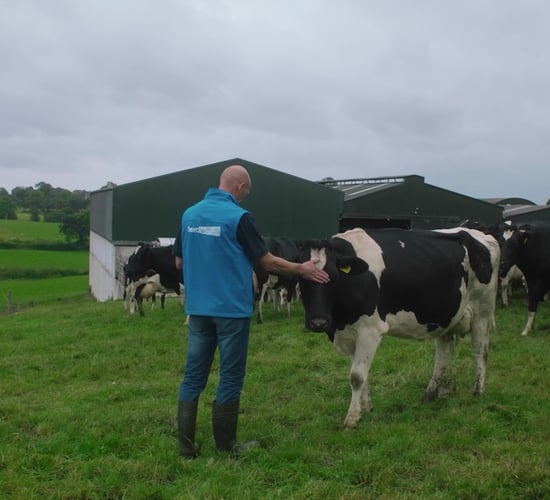Paperwork pressure tops Irish farmers’ concerns