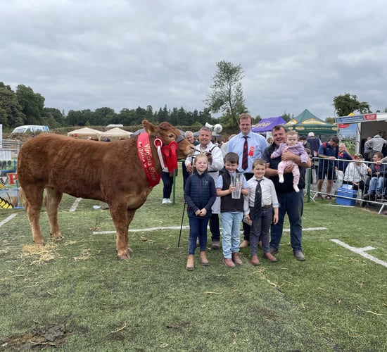 Video: Winners from Virginia Show beef-breed classes