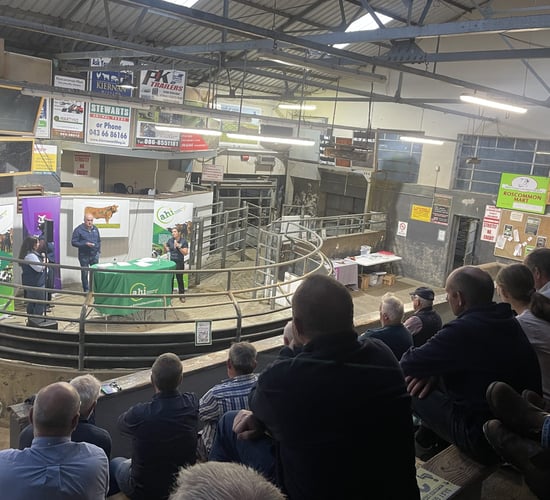 Winter housing tips for suckler herds highlighted at mart events