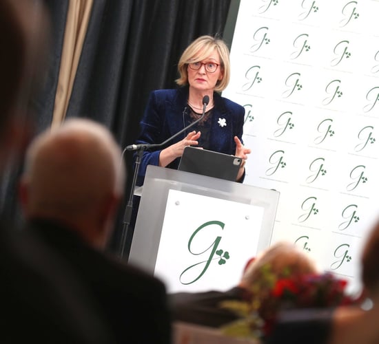 Mairead McGuinness withdraws from presidential election
