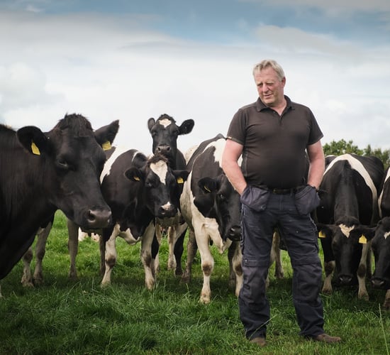 ICMSA urges farmers to be 'bluetongue alert' over coming weeks