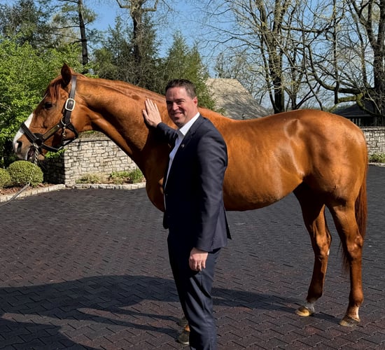 Minister launches new booklet on horse traceability