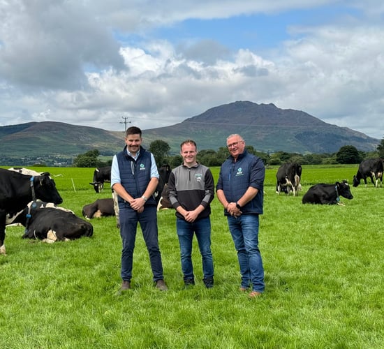 Highlighting the benefits of a new approach to dairy cow health