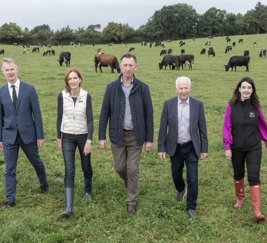 Positive outlook order of the day at Milk Quality Farm Walk