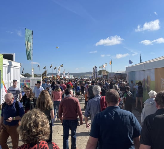 SEEFA to host forestry hub at Ploughing Championships