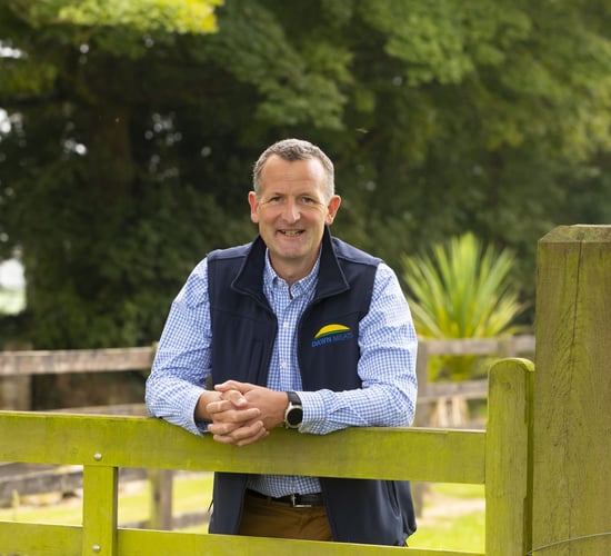 Dawn Meats seeks majority share of NZ's largest lamb processor