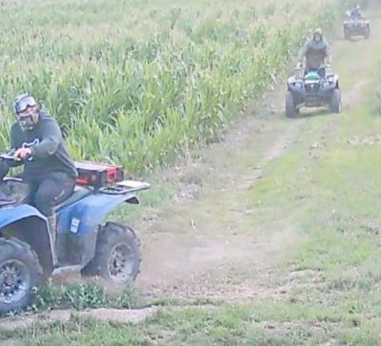 UK police investigating after crops destroyed by quads
