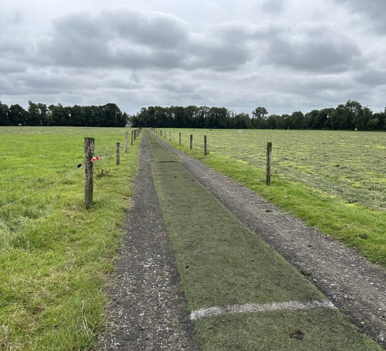 Ensuring roadways are in good condition to reduce lameness