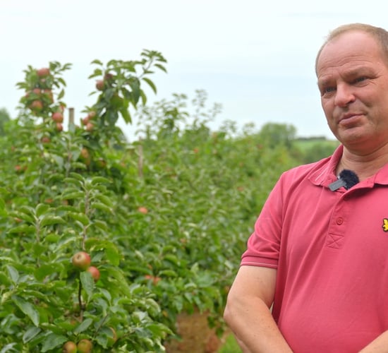 Cider and crisps made in Cahir: the juice is worth the squeeze at Con's apple farm