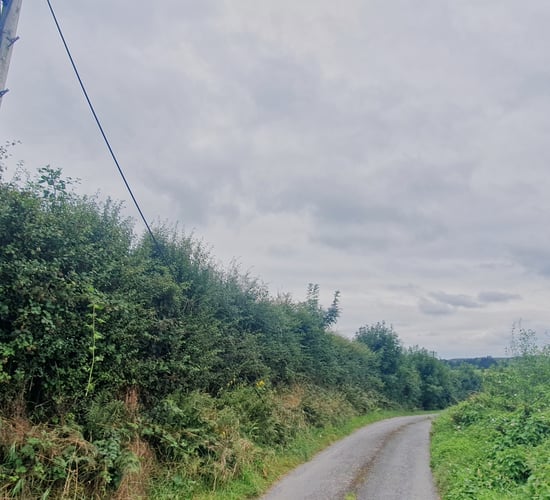 Wires may be crossed as hedge-cutting season begins