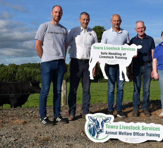 DAFM funds new livestock handling and welfare training courses