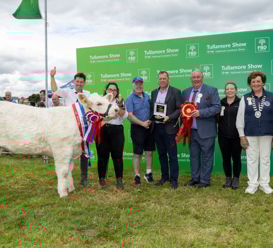 Gallery: 2025 Tullamore Show Parade of Champions