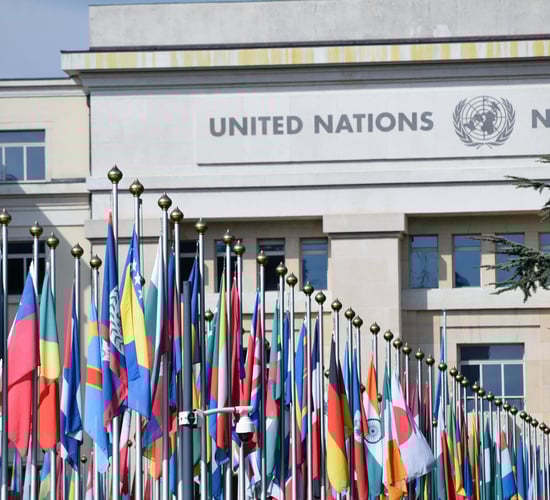 Ireland elected to council of UN Food and Agriculture Organisation