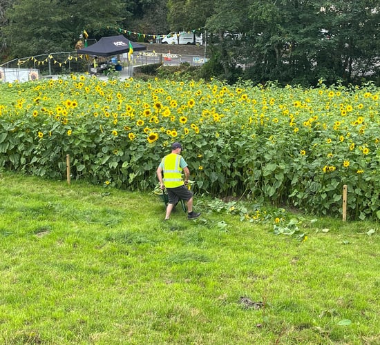 West Cork farmers fundraise by bringing Leap into bloom
