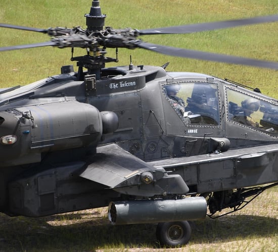 Cow euthanized following 'military helicopter exercise' in Netherlands