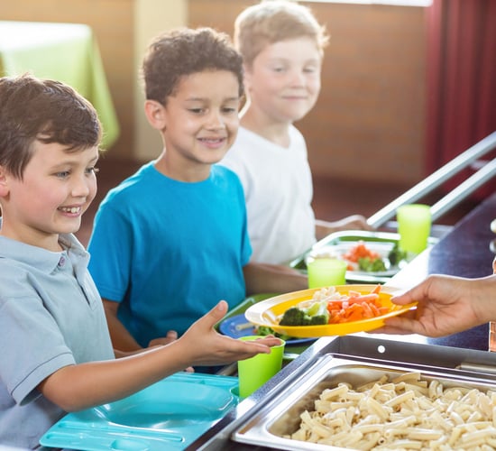 Hot meals scheme 'discriminates' against small rural schools - TD