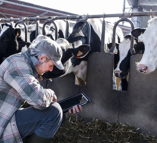 Call for more time to apply for 'forgotten farmers' scheme