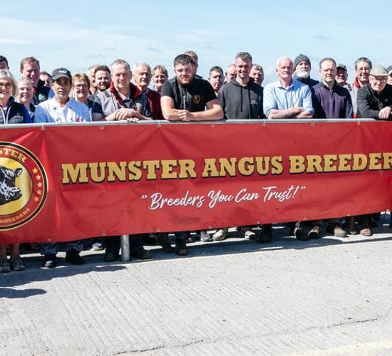 Munster Angus Breeders forms new company limited by guarantee