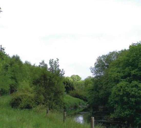 Series of meetings aim to engage farmers in reversing woodland decline
