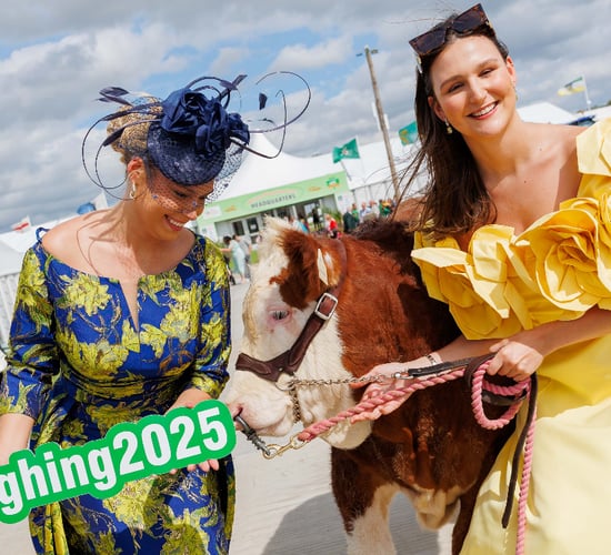 Watch: Ploughing preparation in 'full swing' at Screggan Co. Offaly