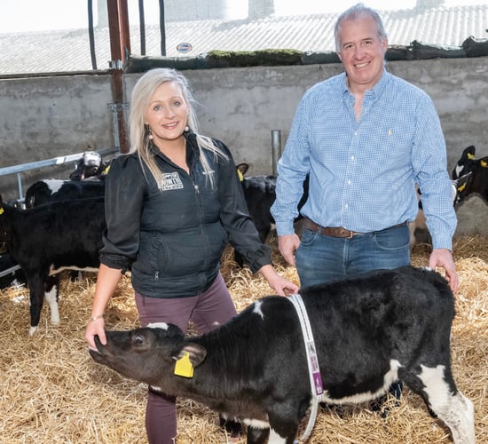 A trusted choice for calf rearing for generations of Limerick farmers