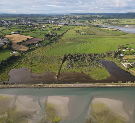 State buys 98.5ac of 'high nature value' land at White’s Marsh