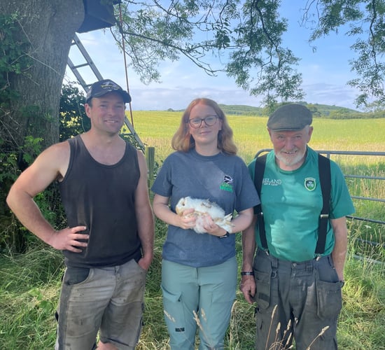 Barn owls breed successfully on Down farm for third year running