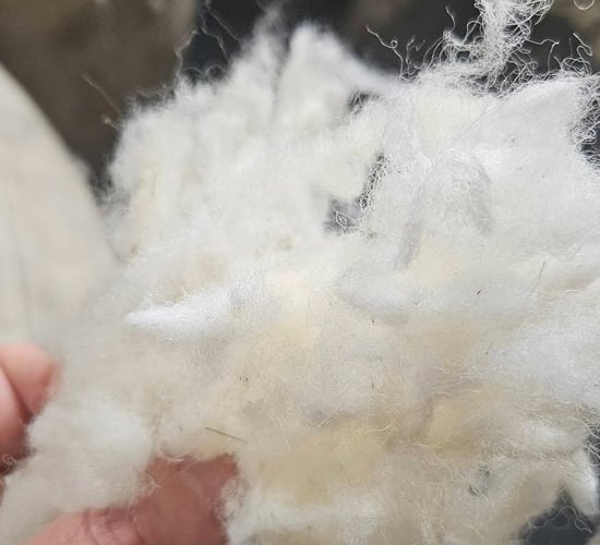 Watch: Dooley Wool on the importance of farm traceability