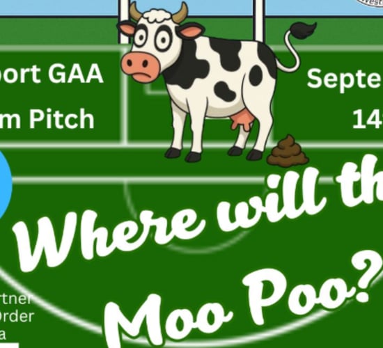 Where will the Moo Poo? Cow to decide winner of GAA fundraiser
