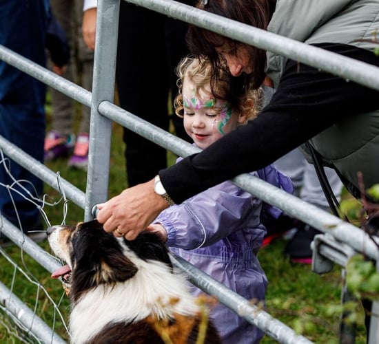 Celebrate farming, flavours, and autumn fun at Airfield Harvest Festival