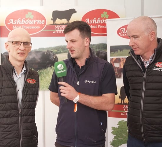 Watch: 40 years of Ashbourne Meats and 30 years in Roscrea