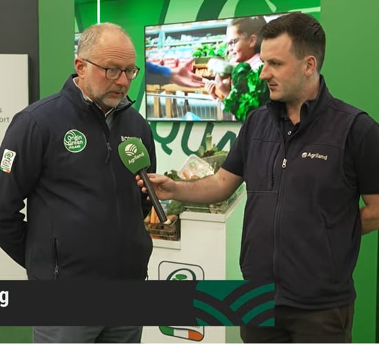 Watch: Bord Bia beef market outlook and review at Ploughing 2025
