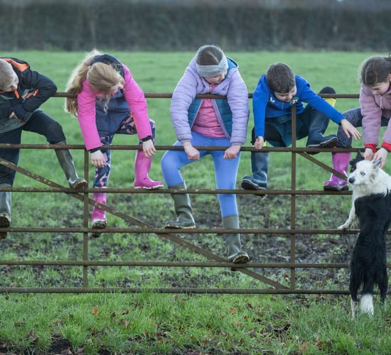 Embrace FARM launches new programme for young people