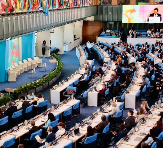 Global conference on sustainable livestock transformation
