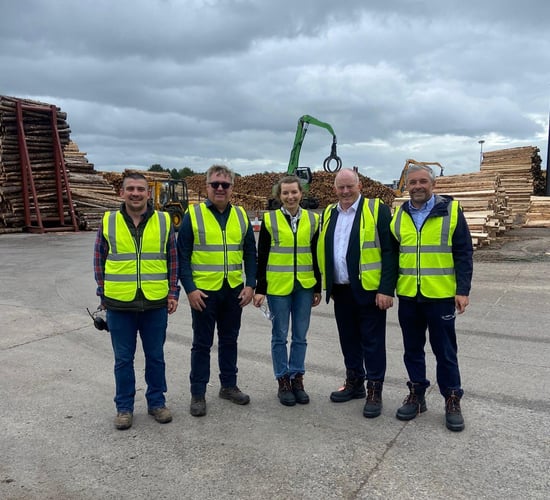 Next forestry programme must ensure that planting is 'economically viable'