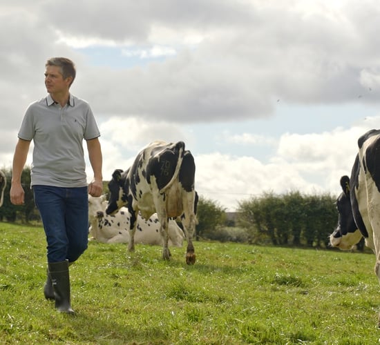 Genotyping lessons from Lisduff Herd as NGP deadline approaches