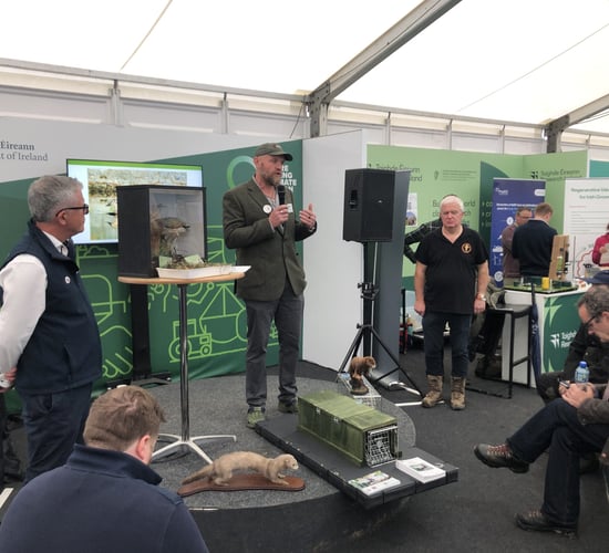 Project launched to eradicate American mink in midlands