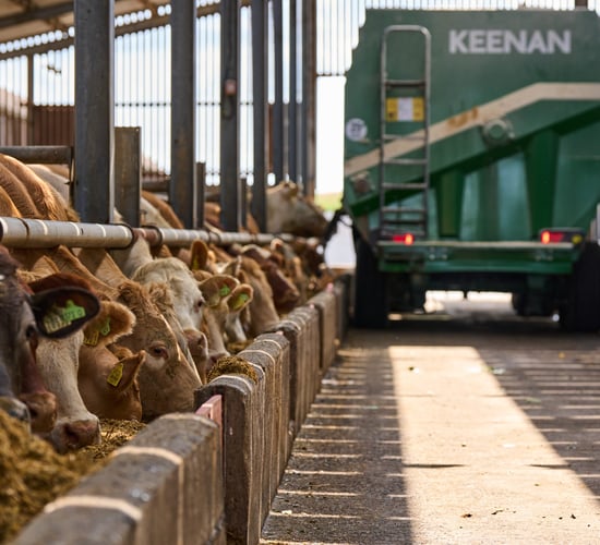 Increasing animal performance with a consistent mix quality