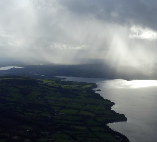 Alternative water source for animals advised amid algal bloom on Lough Derg