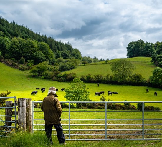 Online programme for supporters of farmers facing mental health struggles