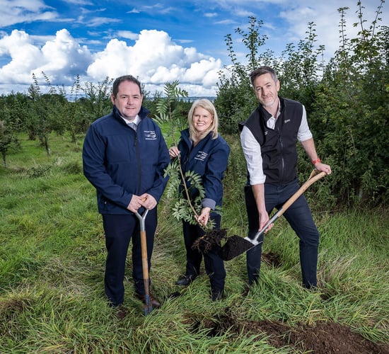 Initiative's goal to plant a million trees is 'thriving' - NI Water